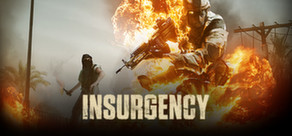 Insurgency